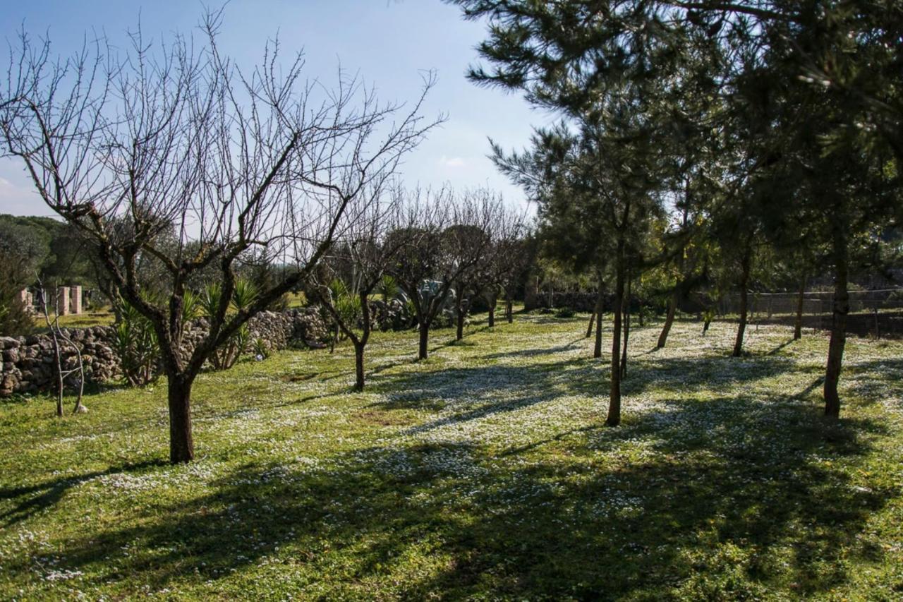 Penzion Casale Sombrino Supersano Exteriér fotografie