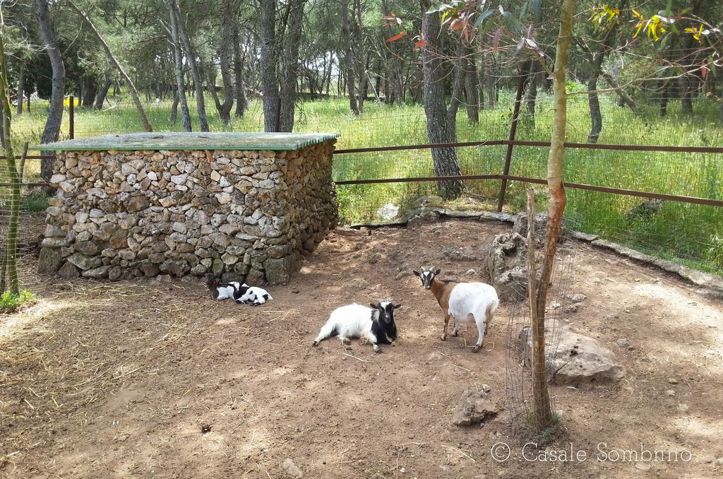 Penzion Casale Sombrino Supersano Exteriér fotografie